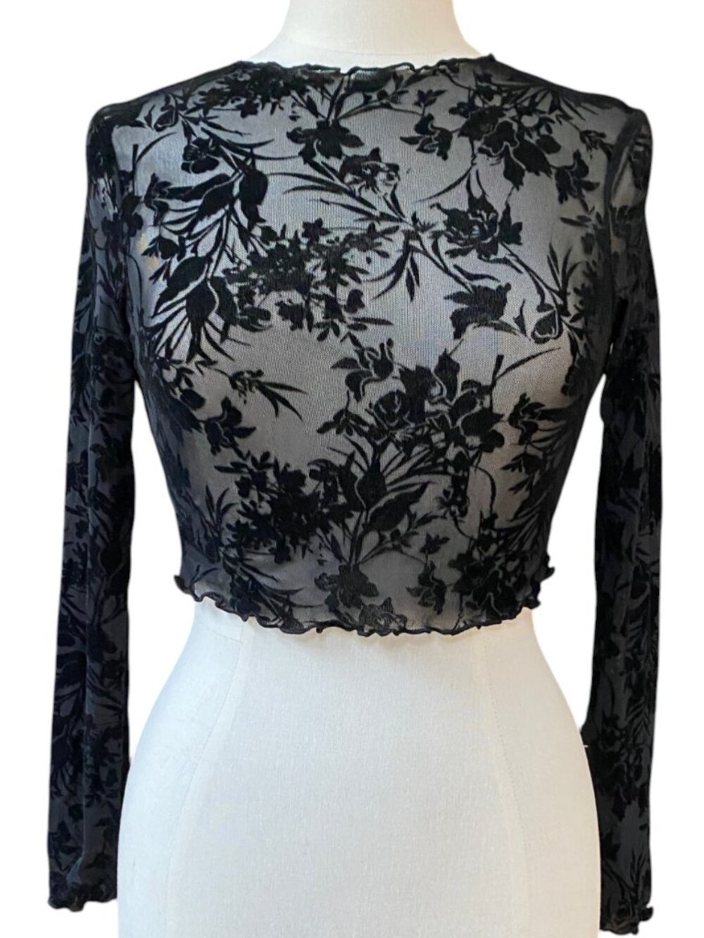 Black Sheer Mesh Floral Burnout Crop Top Long Sleeve Whimsigoth 90s Grunge Y2K-S